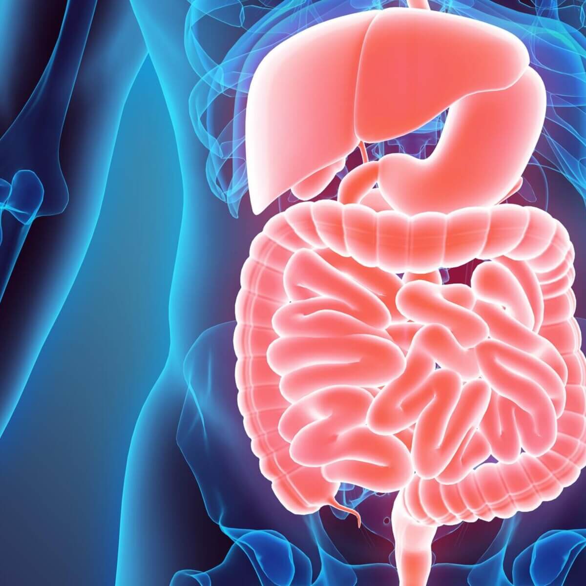 Tips for Gastrointestinal (GI) Complications & Sjögren's | Sjögren’s ...